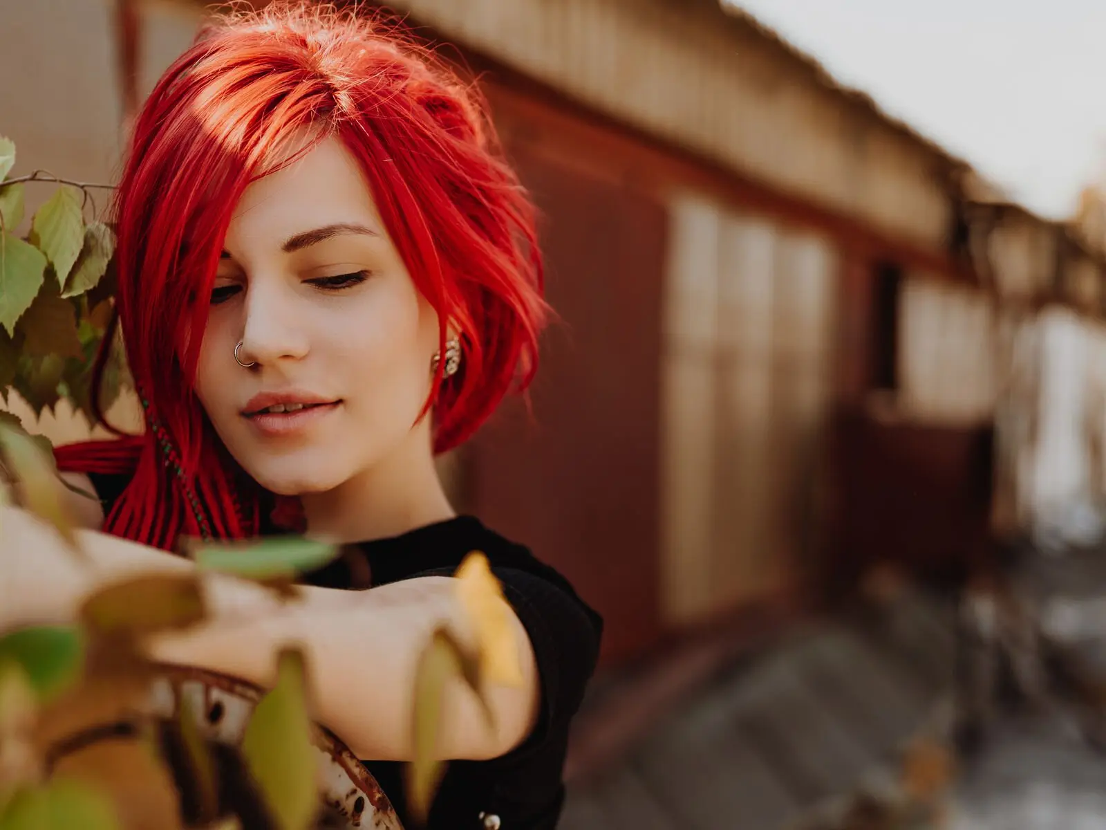 NewAndBone's Sex ChatRoom